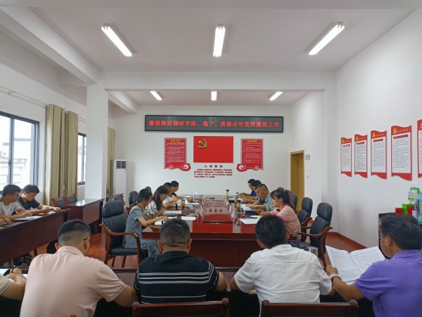 洪董帶隊調研市政公司、逸寧公司和質檢公司黨的建設工作.jpg
